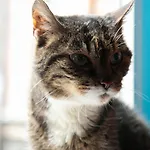 La Boheme Hotel Amsterdam