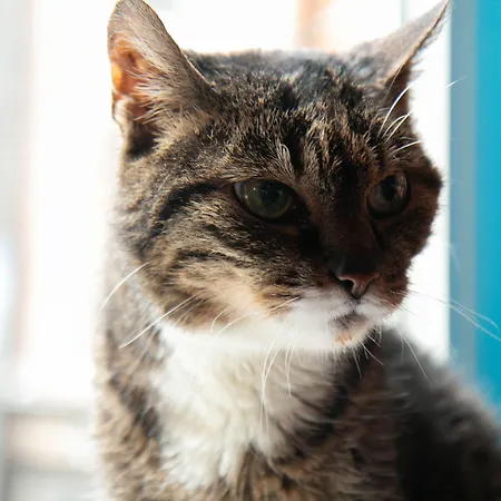 라 보엠 호텔 암스테르담