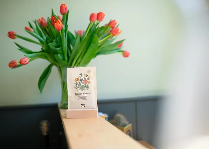 Szálloda La Boheme Amszterdam