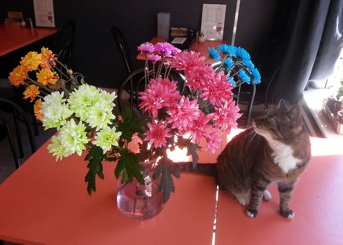 La Boheme 2* Amszterdam