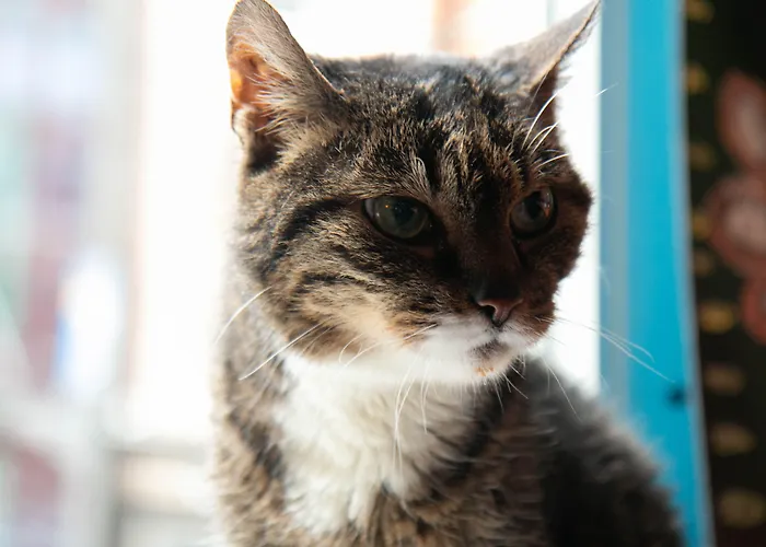 La Boheme Szálloda Amszterdam